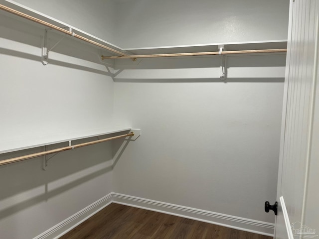 walk in closet featuring dark hardwood / wood-style floors