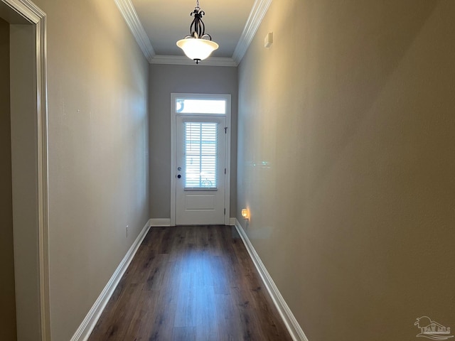 doorway featuring dark wood-type flooring and ornamental molding