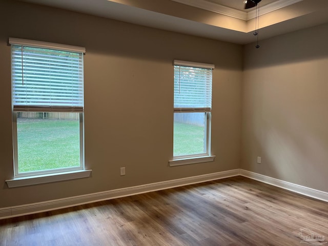 empty room with a raised ceiling, plenty of natural light, and wood-type flooring