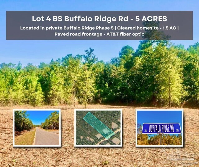 LOT4BS Buffalo Ridge Rd, Pace FL, 32571 land for sale