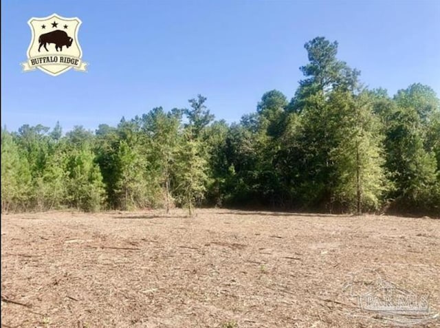 Listing photo 2 for LOT4BS Buffalo Ridge Rd, Pace FL 32571