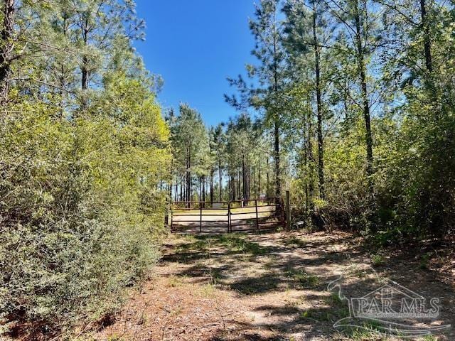 Listing photo 3 for LOT4BS Buffalo Ridge Rd, Pace FL 32571