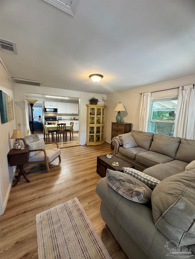 living room featuring light wood-type flooring