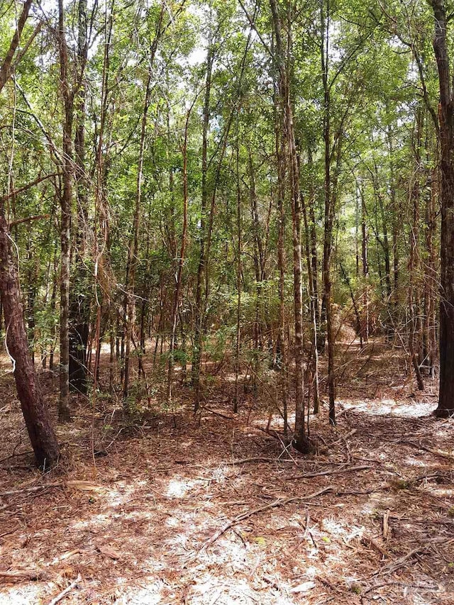 PARCELC-2 Wildlife Rd, Harold FL, 32564 land for sale