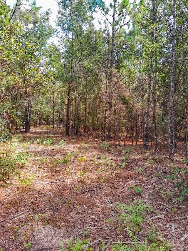 Listing photo 3 for PARCELC-2 Wildlife Rd, Harold FL 32564