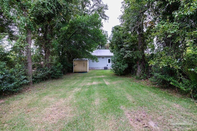 view of yard with a storage shed