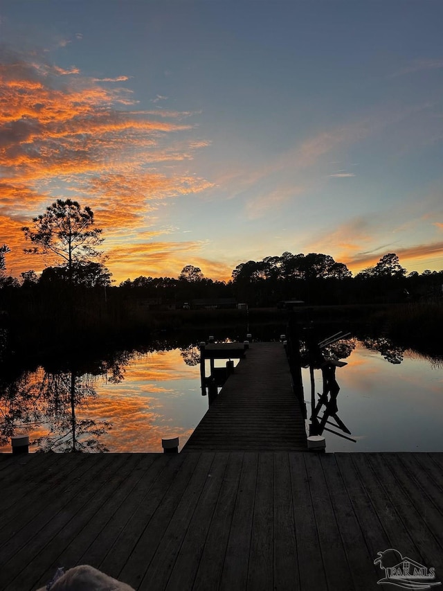 dock area with a water view