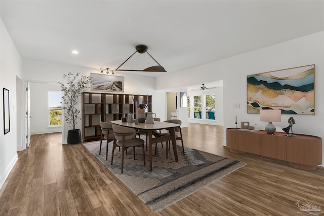 dining space with ceiling fan and hardwood / wood-style flooring