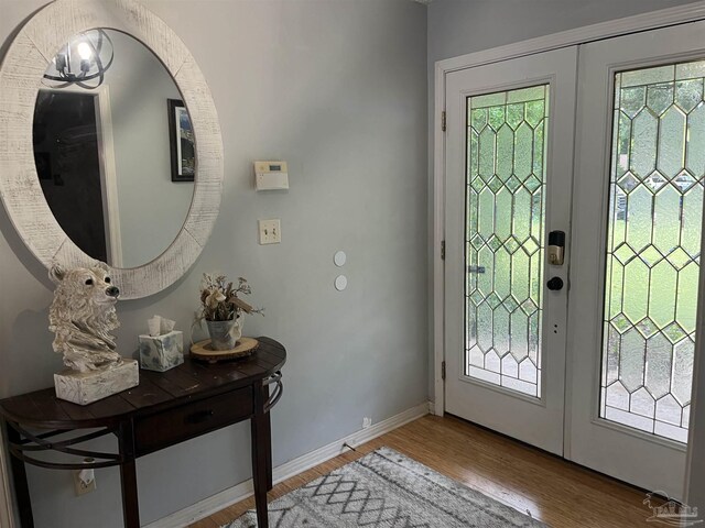 foyer featuring wood-type flooring