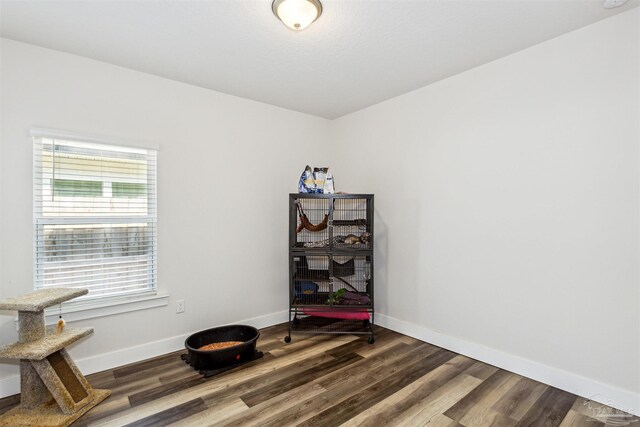 miscellaneous room with hardwood / wood-style flooring