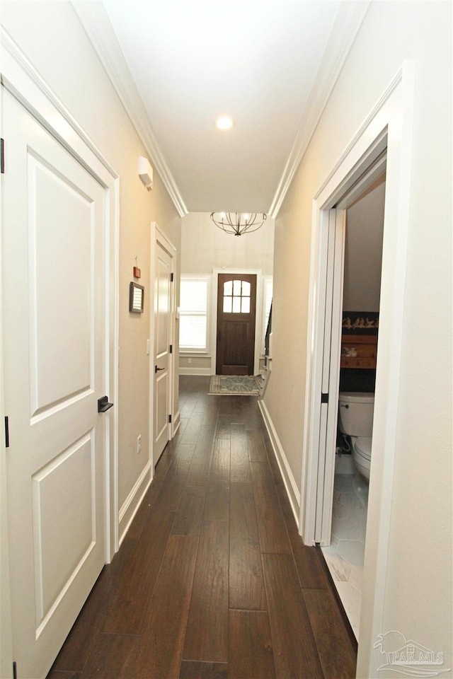 corridor with crown molding and dark wood-type flooring