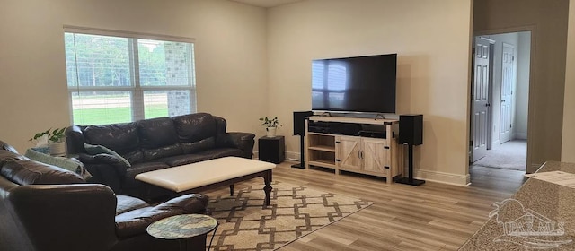 living room with wood-type flooring