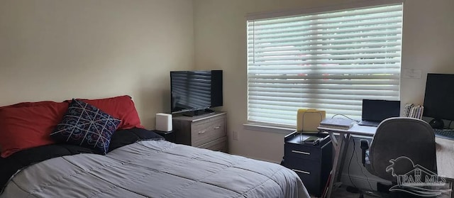 bedroom with multiple windows