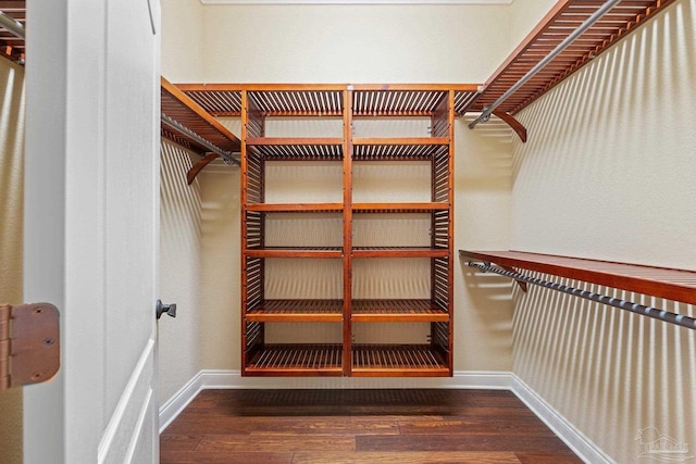 1011 Bucyrus Ln, Cantonment, FL 32533 - spacious closet featuring hardwood / wood-style flooring