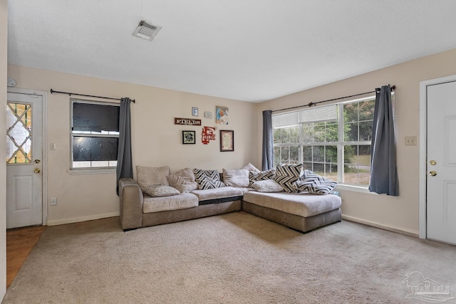 living room with carpet floors