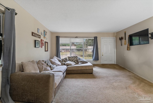 carpeted living room featuring a textured ceiling