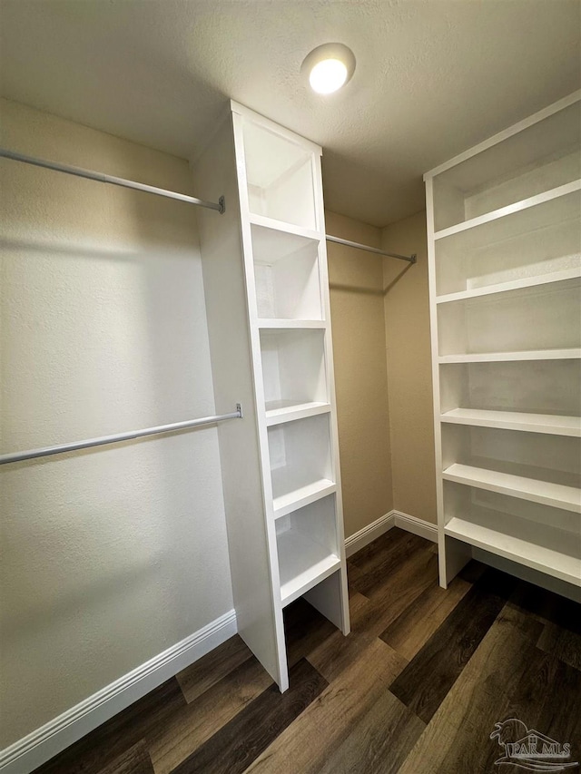 spacious closet featuring dark wood-style flooring