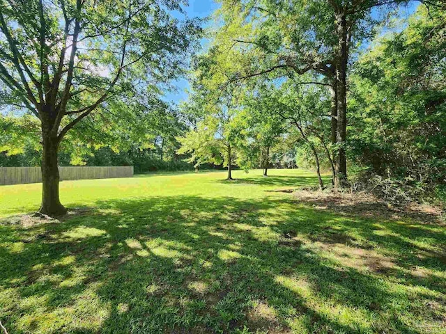 210 Mcrae St, Atmore, AL 36502 - view of yard