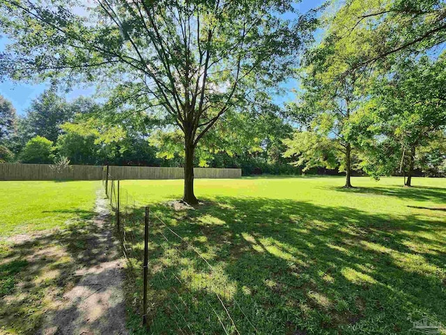 210 Mcrae St, Atmore, AL 36502 - view of yard