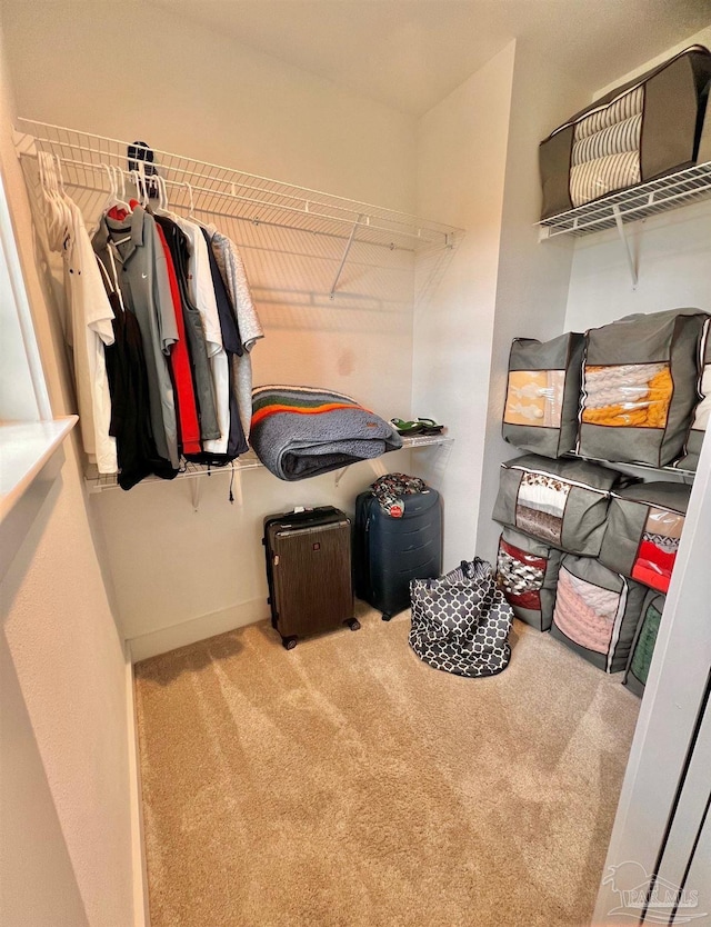 4979 Leeward Dr, Pensacola, FL 32507 - spacious closet with carpet floors