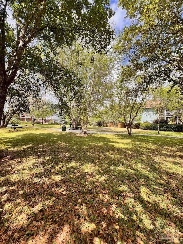 4979 Leeward Dr, Pensacola, FL 32507 - view of yard