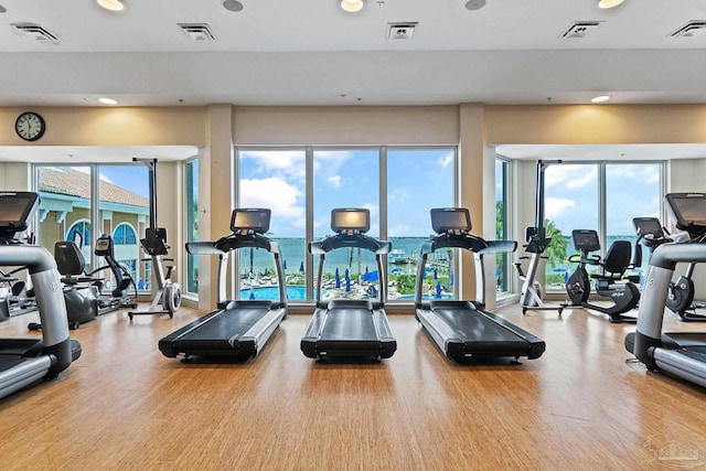 workout area featuring light hardwood / wood-style floors and plenty of natural light