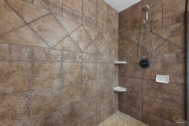 room details with tiled shower