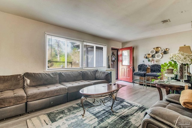 living room featuring light hardwood / wood-style floors