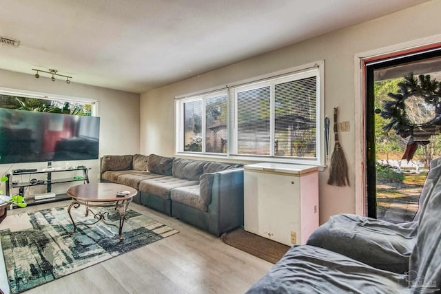 living room featuring light hardwood / wood-style flooring