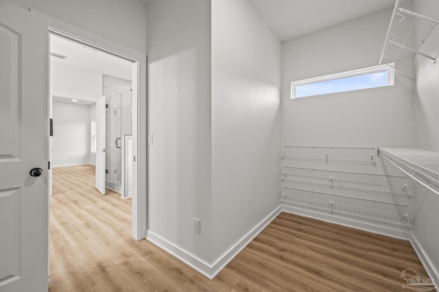 1192 Adrian Way, Milton, FL 32583 - walk in closet with light wood finished floors