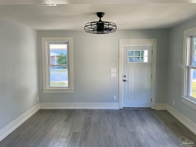 foyer entrance with a healthy amount of sunlight and dark hardwood / wood-style flooring