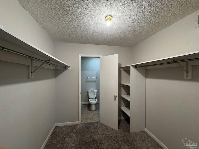 walk in closet featuring carpet