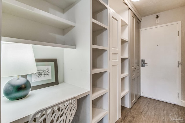 224 E Garden St Unit 236, Pensacola, FL 32502 - walk in closet with wood-type flooring