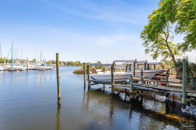 dock area featuring a water view