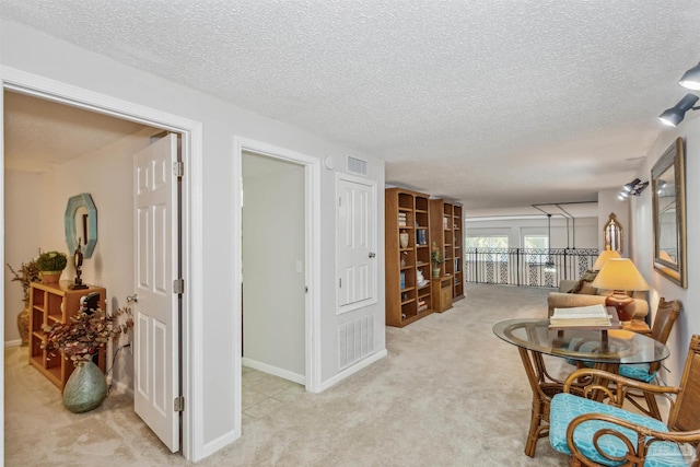 living area featuring light carpet and a textured ceiling