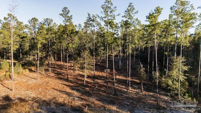 LOT20 Steele Meadow Dr, Pace FL, 32571 land for sale