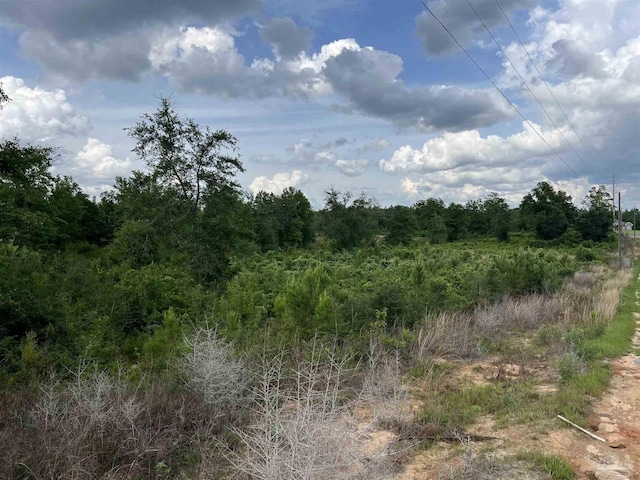 0000 Tidwell Rd, Pace, FL 32571