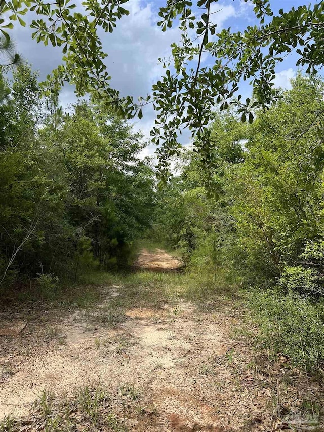 0000 Tidwell Rd, Pace, FL 32571