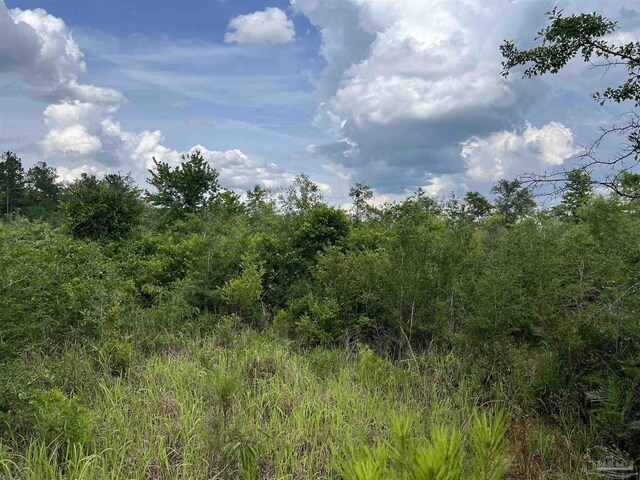 0000 Tidwell Rd, Pace, FL 32571