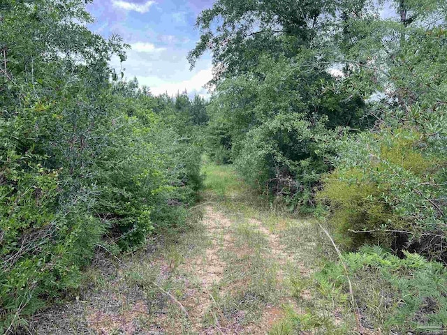 0000 Tidwell Rd, Pace, FL 32571