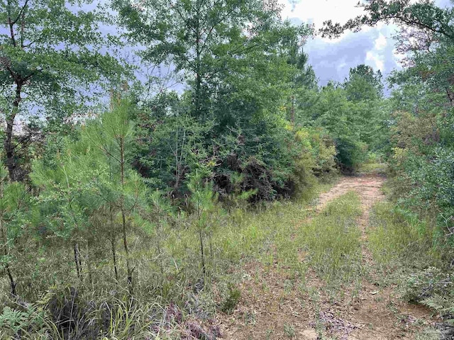 0000 Tidwell Rd, Pace, FL 32571