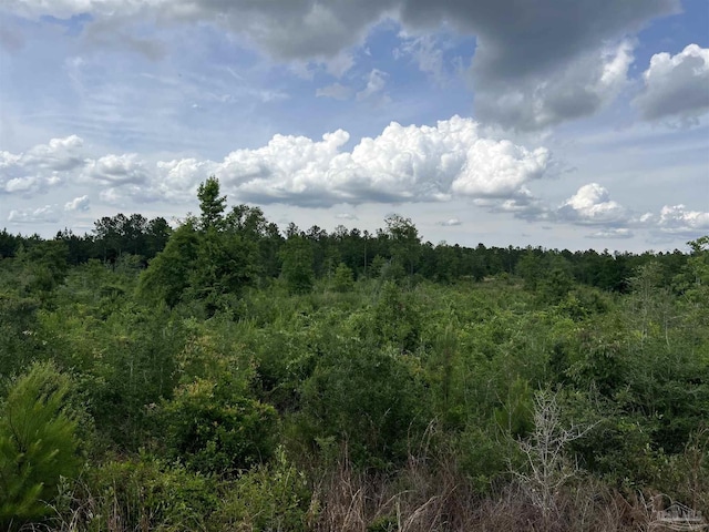 0000 Tidwell Rd, Pace, FL 32571