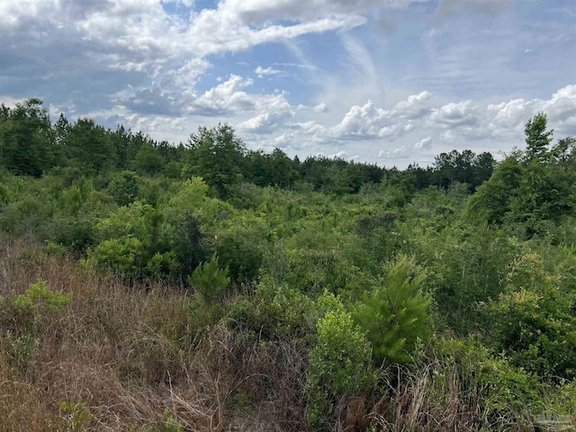 0000 Tidwell Rd, Pace, FL 32571