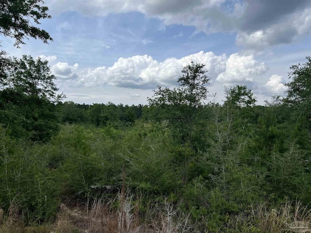 0000 Tidwell Rd, Pace, FL 32571