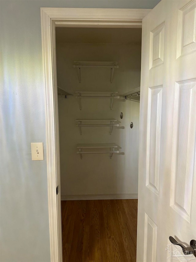 walk in closet with dark hardwood / wood-style floors