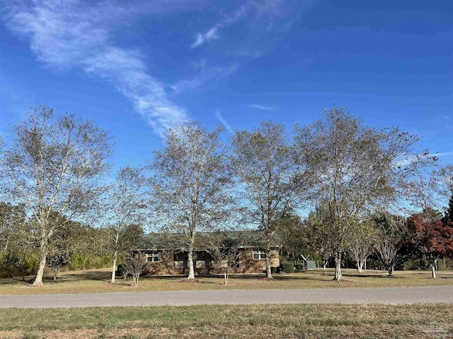 6701 Will Jones Rd, Jay, FL 32565 - exterior space