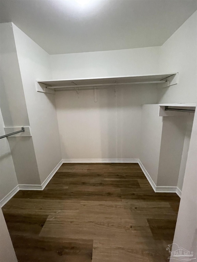 spacious closet with dark hardwood / wood-style floors