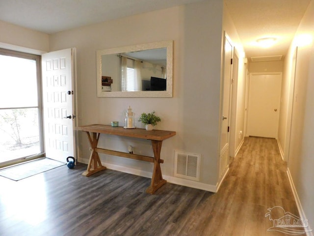 entryway with hardwood / wood-style floors