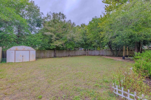 view of yard featuring a storage unit