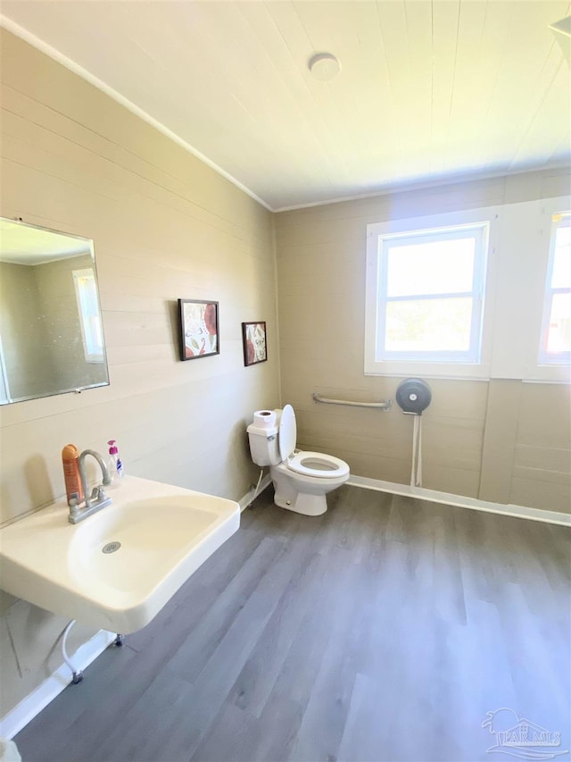 bathroom with wood-type flooring, toilet, and sink